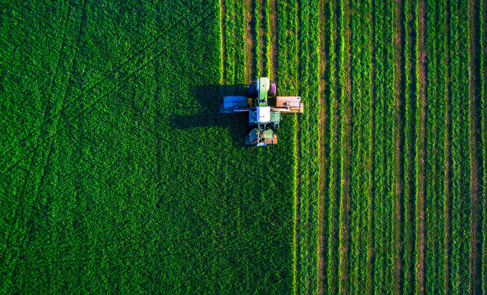 Agriculture tractor field plowing 2