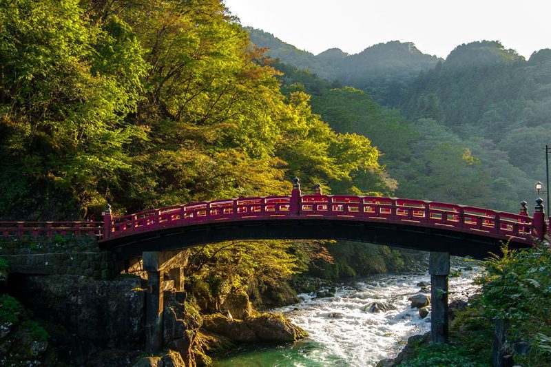 Bridge forest river