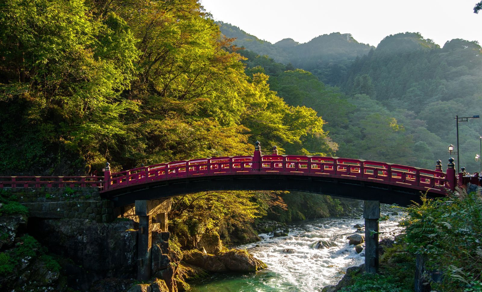 Bridge forest river