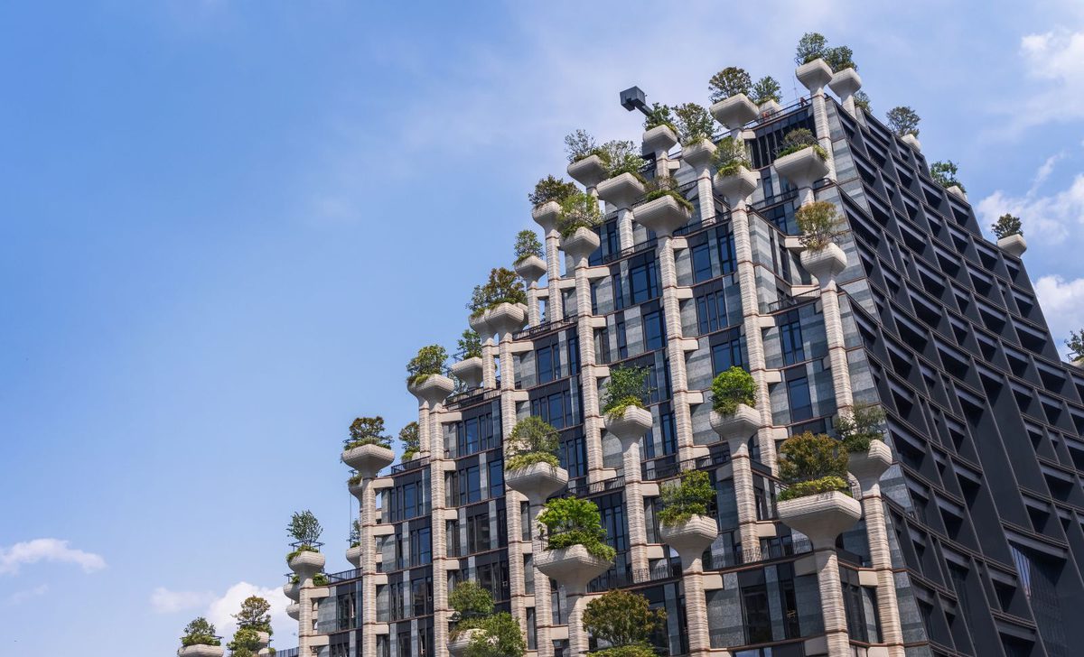 City green trees