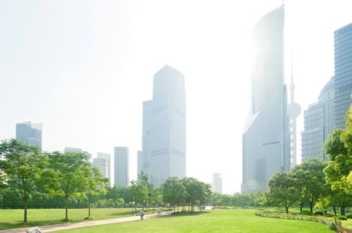 City park skyscrapers