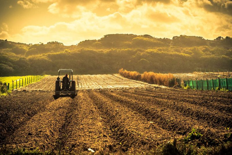 Flag agriculture