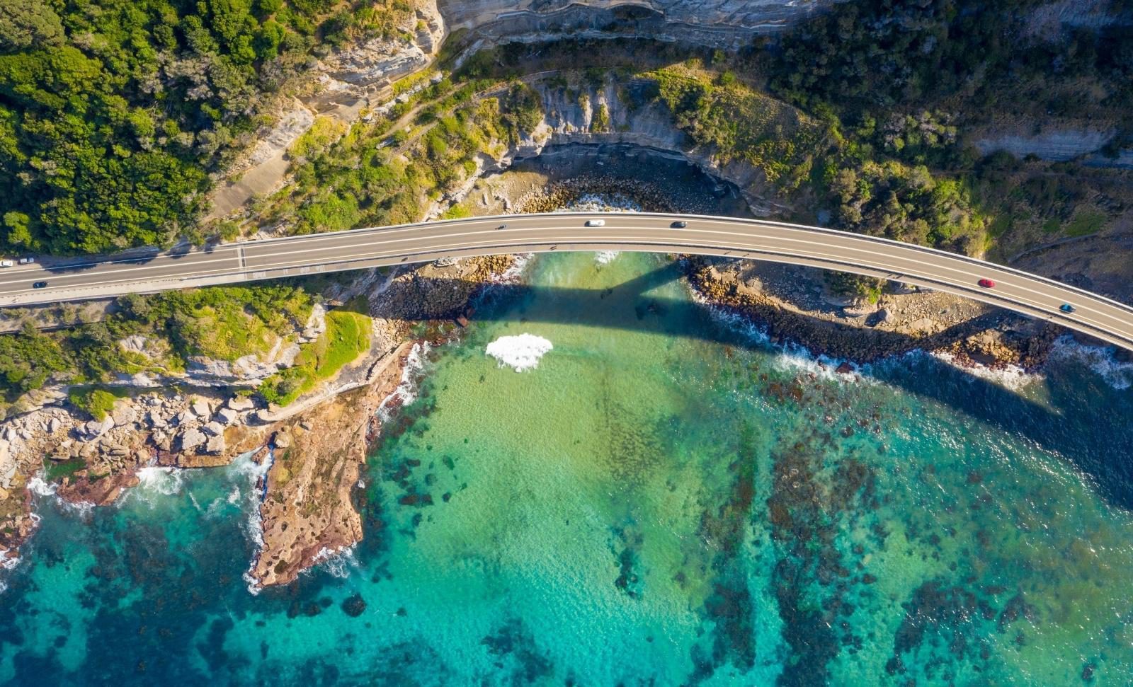 Road sea forest
