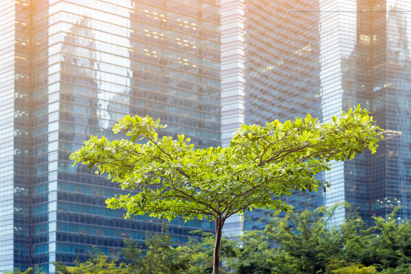 City and trees